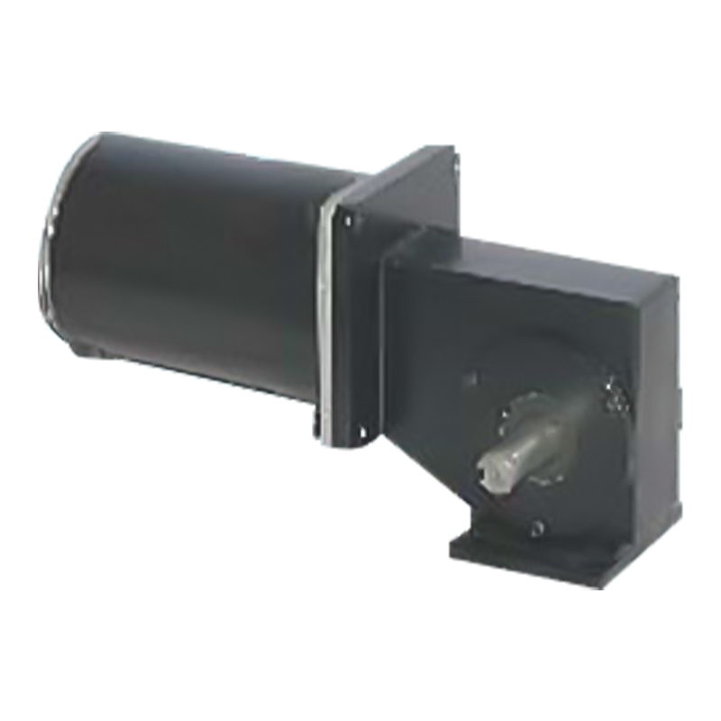 90JW/83ZY125 2000-3000 RPM Kalıcı Mıknatıslı Fırçalanmış Sonsuz Dişli Motor