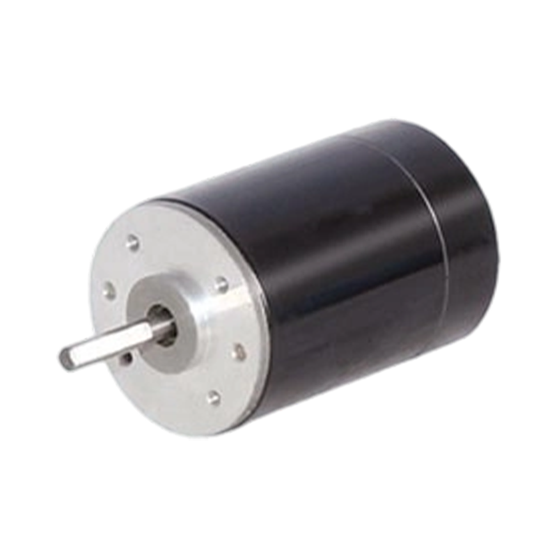 38ZY63 38mm 24V/48V Kalıcı Mıknatıslı Fırçalı DC Motor